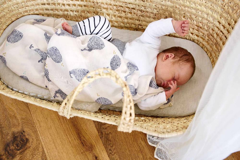Lässig Mulltücher (3 Stk) - Heavenly Soft Swaddle L, Little Water Whale Schlussverkauf