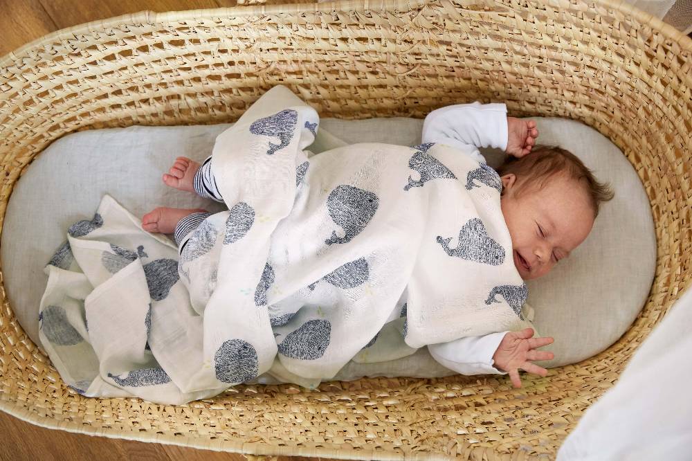 Lässig Mulltücher (2 Stk) - Heavenly Soft Swaddle XL, Little Water Whale Neuheiten