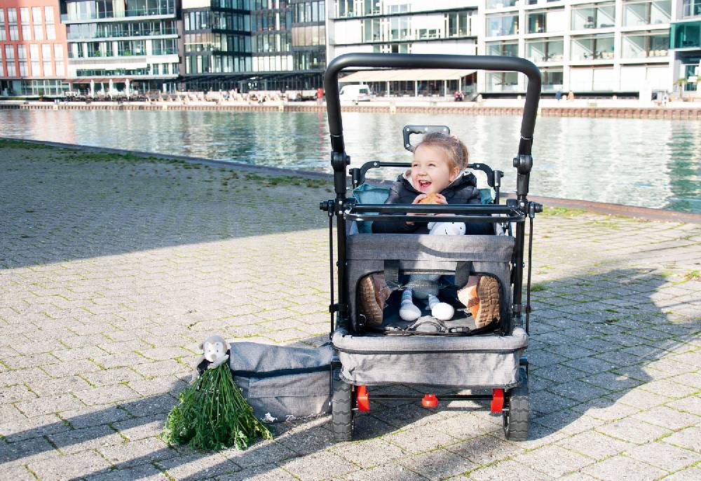 Pinolino Klappbollerwagen 'AddPlus' mit Bremse, grau meliert Super Rabatt