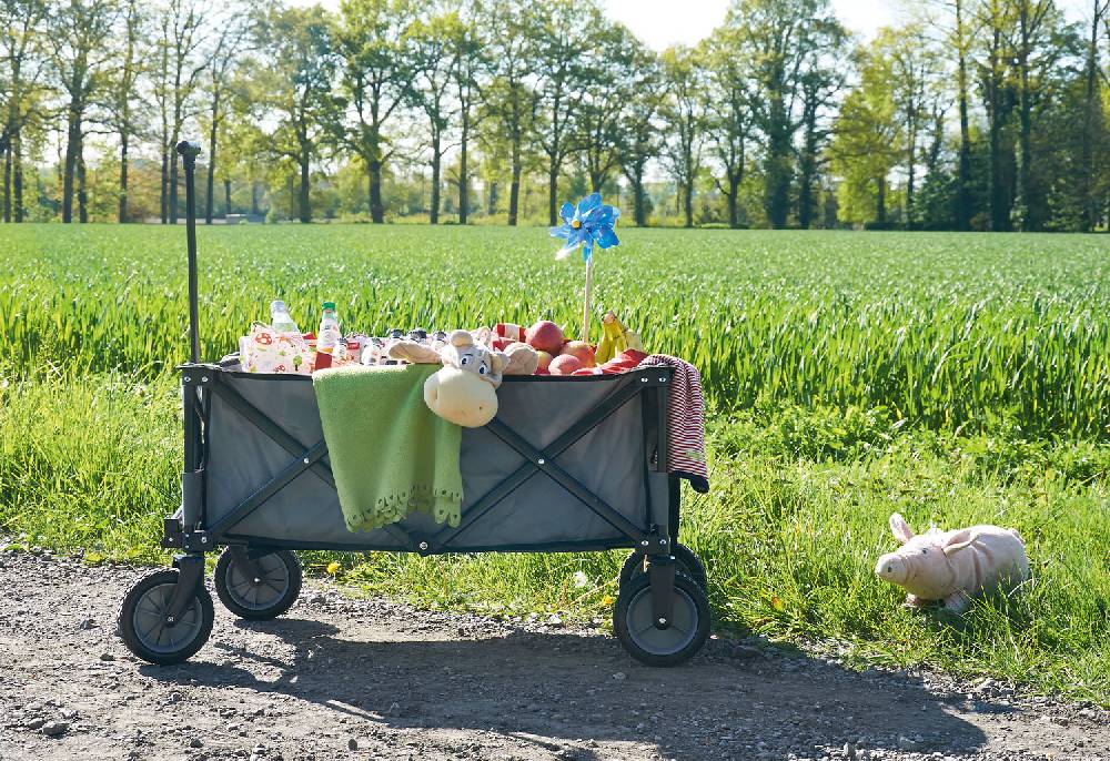Pinolino Klappbollerwagen 'Porti', grau - Auslaufartikel Rabatt