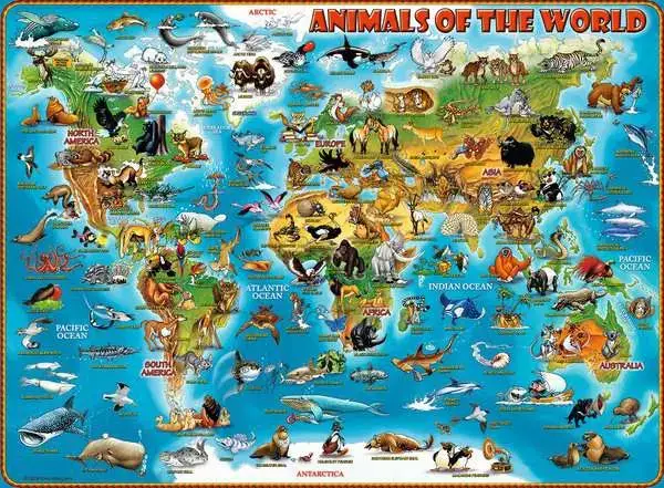 Ravensberger Matratzen Kinderpuzzle ab 9 Jahren - Tiere rund um die Welt - 300 Teile Günstig kaufen