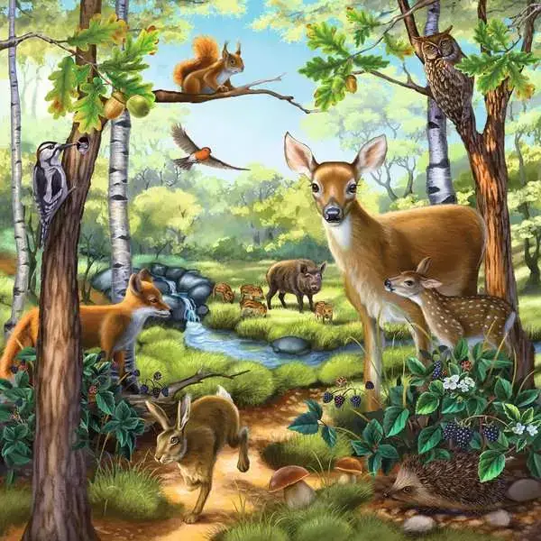 Ravensberger Matratzen Kinderpuzzle ab 5 Jahren - Wald-/Zoo-/Haustiere - 49 Teile VIP-Rabatte