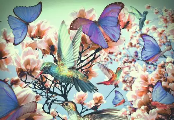 Ravensberger Matratzen Puzzle 300 Teile - Hummingbird Begrenzte Freigabe