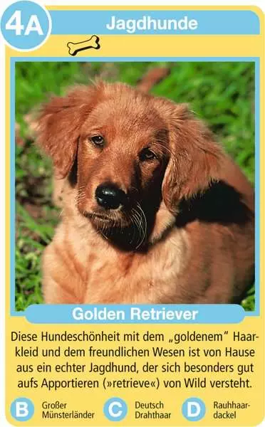 Ravensberger Matratzen Hunde - Kartenspiel ab 4 Jahren Letzte 3 Tage