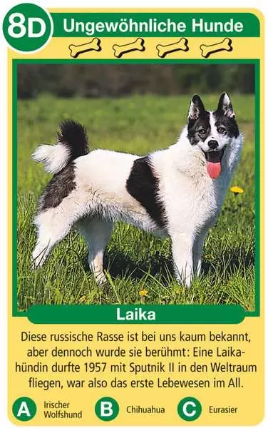 Ravensberger Matratzen Hunde - Kartenspiel ab 4 Jahren Letzte 3 Tage