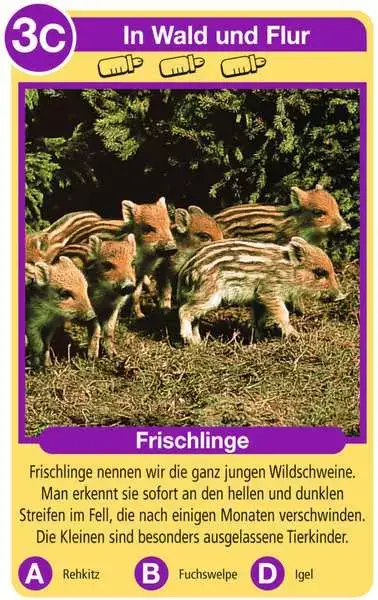 Ravensberger Matratzen Tierkinder - Kartenspiel ab 4 Jahren Fabrik Onlineshop