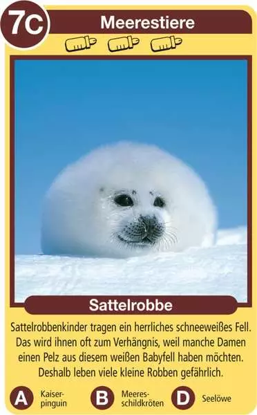 Ravensberger Matratzen Tierkinder - Kartenspiel ab 4 Jahren Fabrik Onlineshop