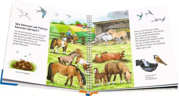 Ravensberger Matratzen Ravensburger Wieso? Weshalb? Warum? junior, Band 20: Das Pony Bis zu 60% Rabatt