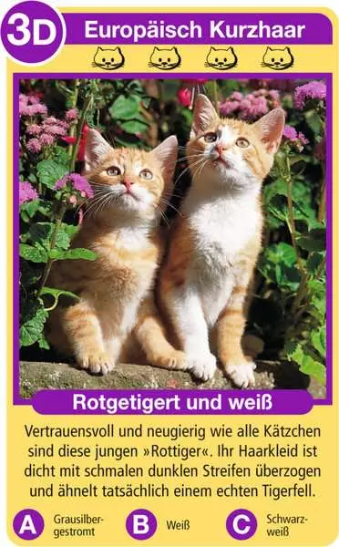 Ravensberger Matratzen Katzen - Kartenspiel ab 4 Jahren im Angebot