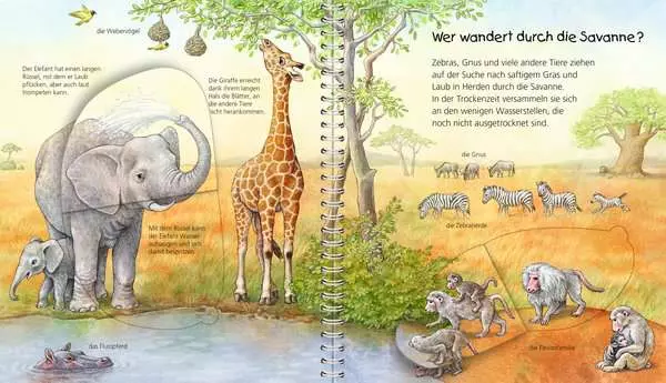 Ravensberger Matratzen Ravensburger Wieso? Weshalb? Warum? Mein junior-Lexikon: Tiere Fabrik Onlineshop