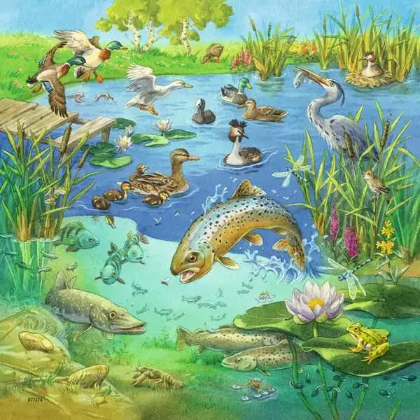 Ravensberger Matratzen Kinderpuzzle ab 5 Jahren - Tiere in ihren Lebensräumen - 49 Teile Bis zu 60% Rabatt