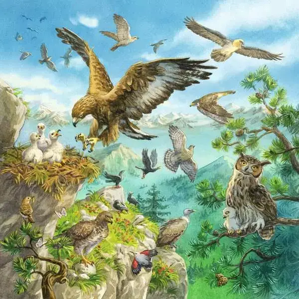 Ravensberger Matratzen Kinderpuzzle ab 5 Jahren - Tiere in ihren Lebensräumen - 49 Teile Bis zu 60% Rabatt