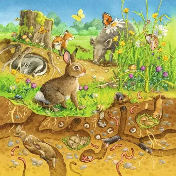Ravensberger Matratzen Kinderpuzzle ab 5 Jahren - Tiere in ihren Lebensräumen - 49 Teile Bis zu 60% Rabatt