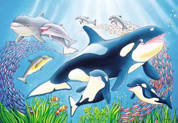 Ravensberger Matratzen Kinderpuzzle ab 4 Jahren - Kunterbunte Unterwasserwelt - 24 Teile Nur für heute