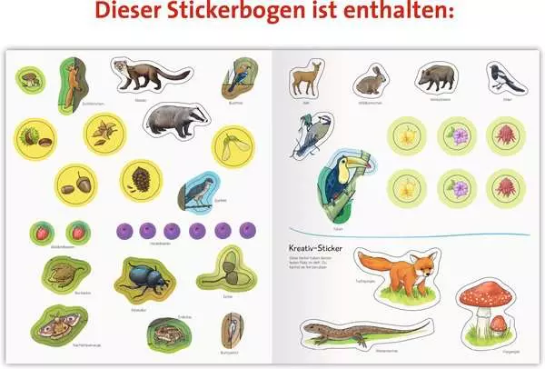 Ravensberger Matratzen Ravensburger Wieso? Weshalb? Warum? aktiv-Heft: Wald Bis zu 55% Rabatt