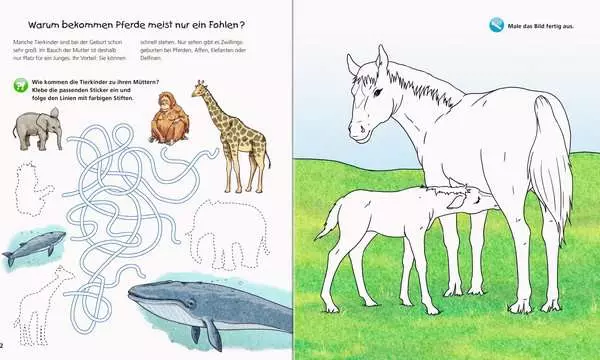 Ravensberger Matratzen Ravensburger Wieso? Weshalb? Warum? aktiv-Heft: Tierkinder Meist gekauft