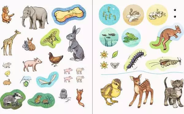 Ravensberger Matratzen Ravensburger Wieso? Weshalb? Warum? aktiv-Heft: Tierkinder Meist gekauft
