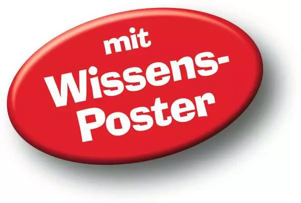 Ravensberger Matratzen Kinderpuzzle ab 4 Jahren - Saurier und ihre Lebensräume - 24 Teile Online Shopping