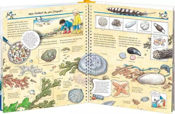 Ravensberger Matratzen Ravensburger Wieso? Weshalb? Warum?, Band 17: Komm mit ans Meer Vierteljährliche Förderung