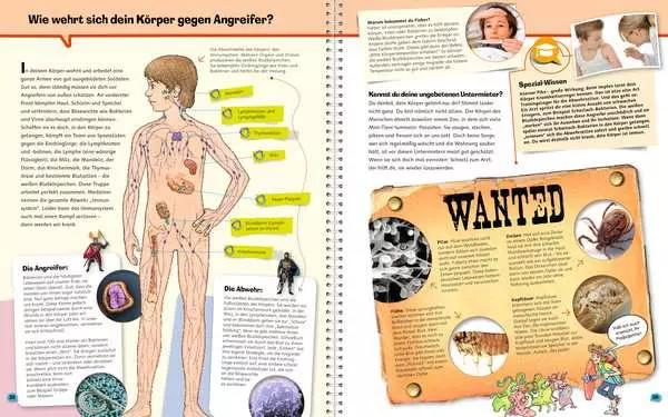 Ravensberger Matratzen Ravensburger Wieso? Weshalb? Warum? ProfiWissen, Band 5: Körper Neueste Stile
