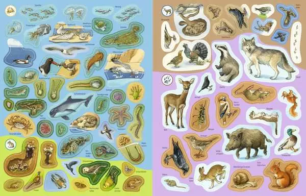 Ravensberger Matratzen Ravensburger Wieso? Weshalb? Warum? Stickerheft: Heimische Tiere 2025