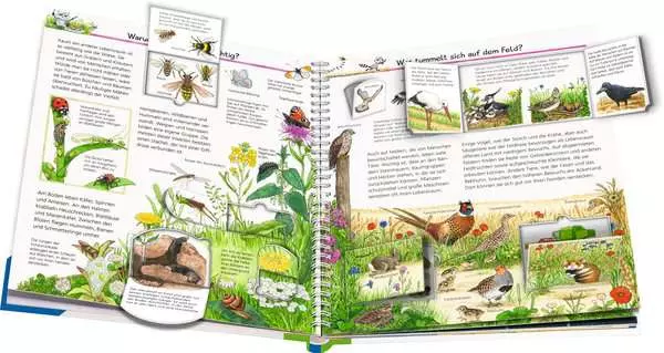 Ravensberger Matratzen Ravensburger Wieso? Weshalb? Warum?, Band 71: Wir entdecken heimische Tiere Versandkostenfrei