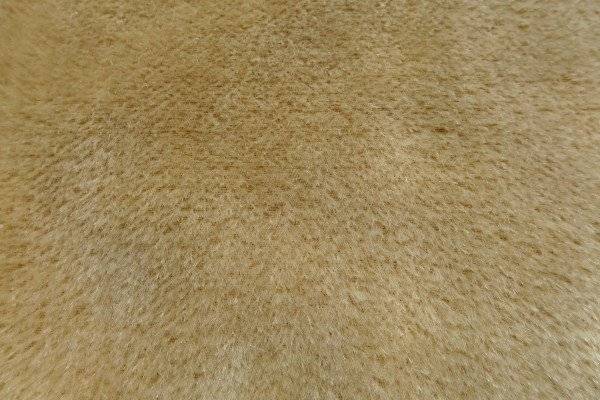 Schildkröt Manufaktur Mohairplüsch champagner 5mm
