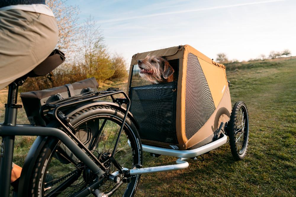 babymarkt Hundefahrradanhänger Dog Tammo Moss green Kostenloser Versand