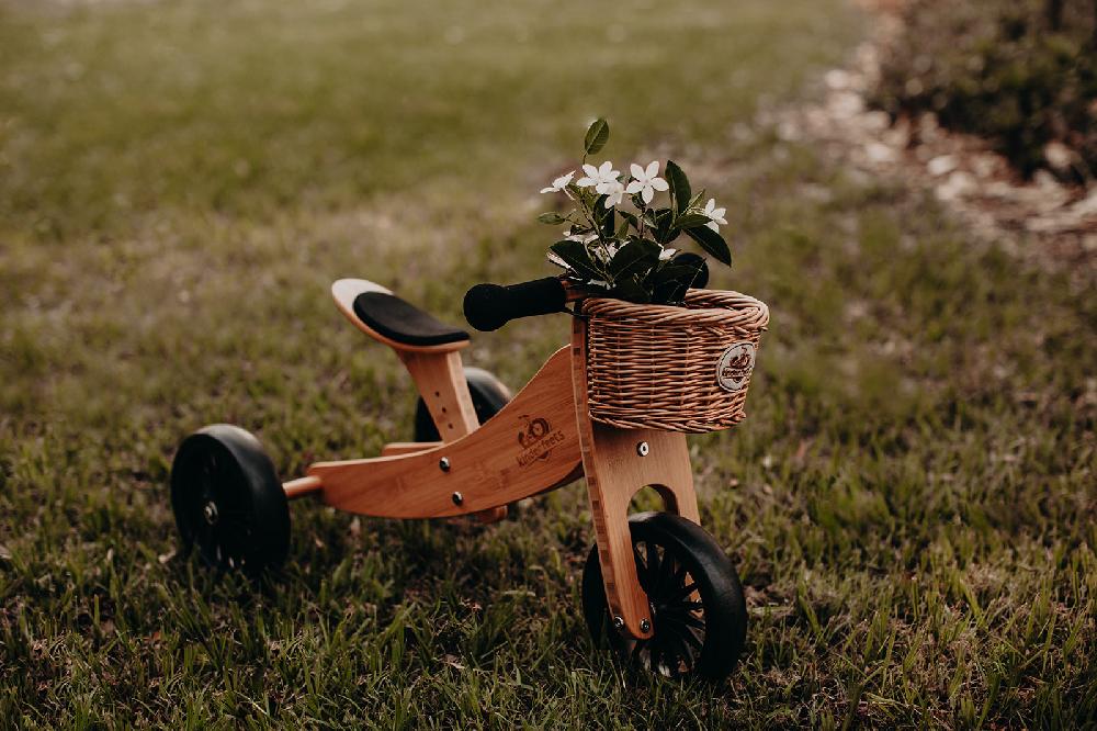 babymarkt 2-in-1 Dreirad Tiny Tot Plus Bambus Fabrikladen