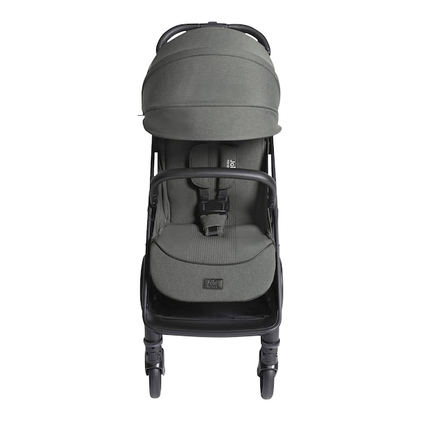 babywalz Joie - signatureBuggy Parcel LX evergreen im Angebot